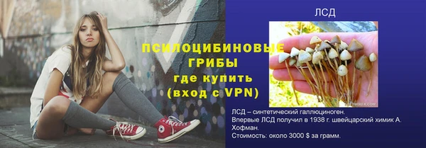 ГАЛЛЮЦИНОГЕННЫЕ ГРИБЫ Алзамай
