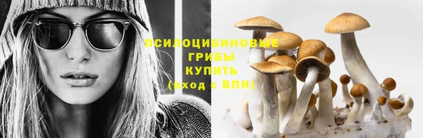 ГАЛЛЮЦИНОГЕННЫЕ ГРИБЫ Алзамай