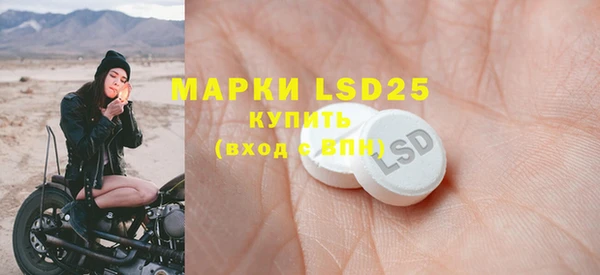 ГАЛЛЮЦИНОГЕННЫЕ ГРИБЫ Алзамай