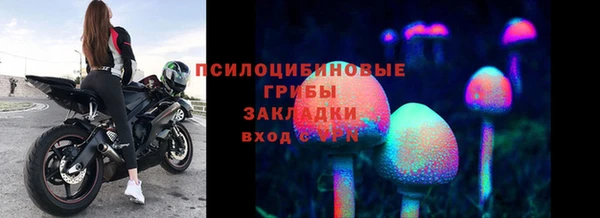ГАЛЛЮЦИНОГЕННЫЕ ГРИБЫ Алзамай