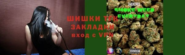 ГАЛЛЮЦИНОГЕННЫЕ ГРИБЫ Алзамай