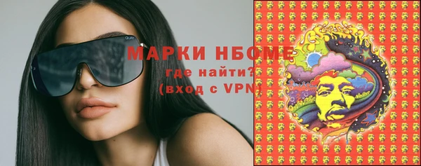 ГАЛЛЮЦИНОГЕННЫЕ ГРИБЫ Алзамай