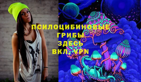 кокс Алексин