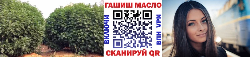 ТГК THC oil  Купить где  Надым 